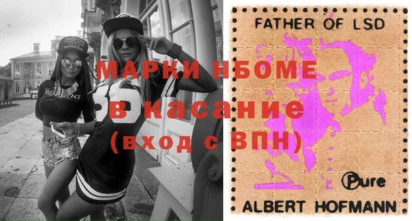 хмурый Аркадак
