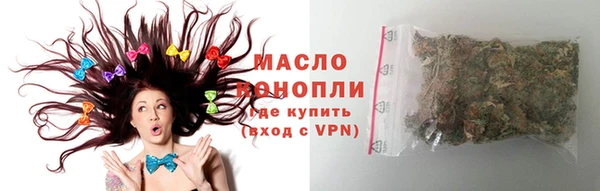 хмурый Аркадак