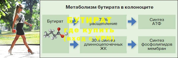 хмурый Аркадак