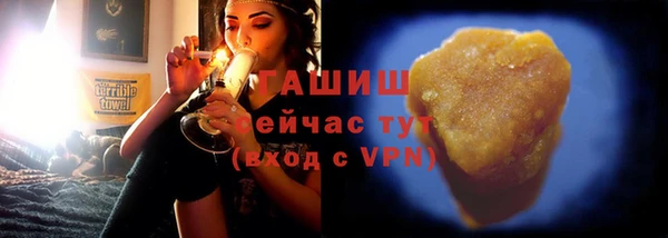 хмурый Аркадак