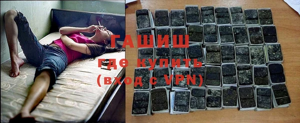 хмурый Аркадак