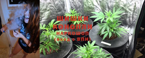 хмурый Аркадак