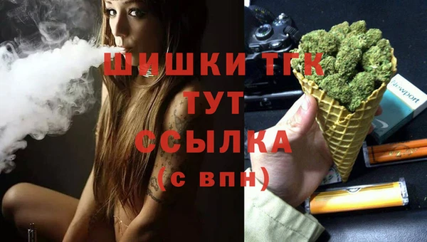 хмурый Аркадак