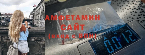 хмурый Аркадак