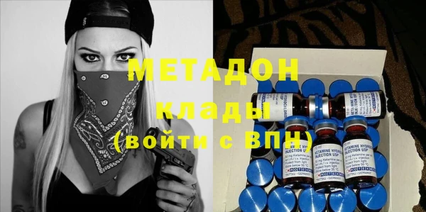 хмурый Аркадак