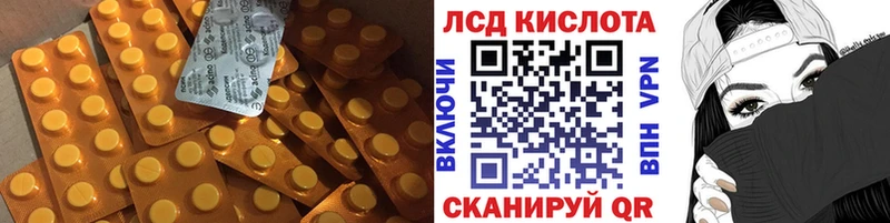 OMG ONION  Сусуман  ЛСД экстази кислота 
